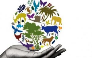 22 de maig, Dia Internacional de la Diversitat Biològica